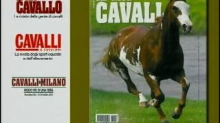 spot il mio cavallo.mpg