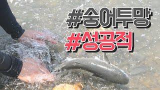 여긴 대물밖에 없어요?  대숭어 바다투망: throw a cast net 投網 pesca