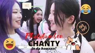 Funny Cute Photobomber - Lapillus Chanty In Da Hauz!