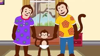 Potty Training - Potty Monkey | Monkey Learns to Potty!