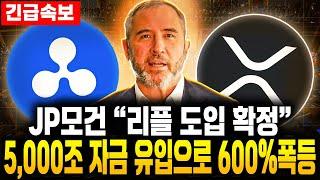 JP모건 "리플 도입 확정" 발표...XRP 8달러 찍고, 500% 폭발