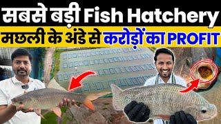 एक मछली देती है एक बार में 1 लाख अंडेऐसा Fish Farming business कहीं देखा नहीं होगाIndian Farmer