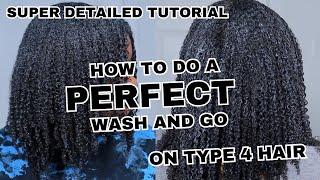 How to get a PERFECT Wash and Go on Type 4 Hair | Tutorial | Super Detailed!!!