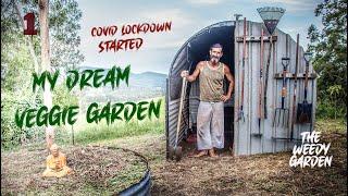 STARTING A DREAM VEGETABLE GARDEN