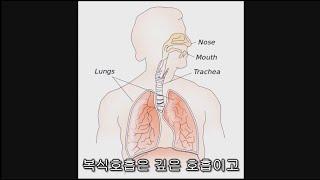 복식호흡 연습법 (자막)