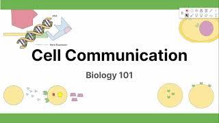 Cell Communication | Biology101