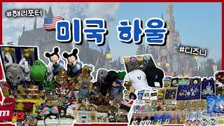 뉴욕부터 올랜도, 디즈니부터 해리포터까지 싹 다 털어 온 하울