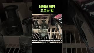 이케아화병만 7개가지고있는 언니의 화병고르는법