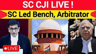 SSC CASE, Supreme Court of India Led Bench Live | CJI DY Chandrachud live |  | CJI SC live