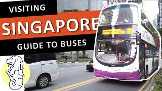 How to Catch the Bus in Singapore | Visitors Guide