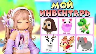 🪼ОБЗОР МОЕГО ИНВЕНТАРЯ В ADOPT ME ROBLOX! | •ПОКАЗАЛА СВОИХ ПЕТОВ...