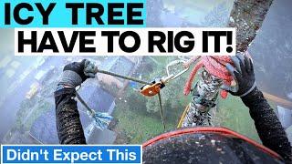 Climbing 100ft On Icy Limbs! Tree Removal