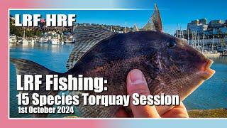 LRF Fishing: 15 Species at Torquay! Trigger Fish, Rockcook, Ringneck & More!