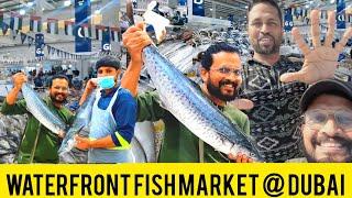 Waterfront Fish Market in Dubai | Waterfront Fish Market