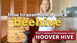 LANGSTROTH BEEHIVE ASSEMBLY | REVIEW Beeswax Coated Hive from Galena Farms | Easy Beekeeping