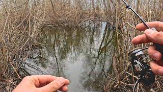МОРМЫШИНГ в ручье 50 см. Разная рыба НА ТОНЧАЙШИЙ спиннинг. Рыбалка весной