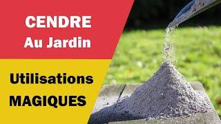 Les Utilisations Magiques et Pratiques de la Cendre au Jardin