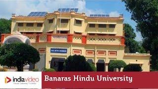 Banaras Hindu University (BHU), Uttar Pradesh | India Video