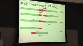 Design and Validation of Engineered Nucleases for...- Thomas Cradick - Georgia Tech