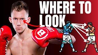 Where To Focus Your Eyesight In Fight Sports