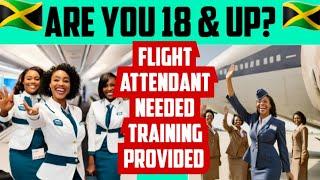 Best Paid Airlines Now Hiring & Training/The Sky Is Not Your Limit!