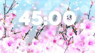 45 Minute Relaxing Spring Timer 