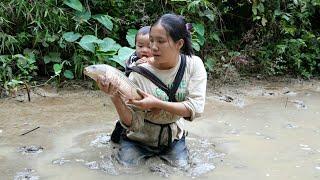 Single mother catches many carp in abandoned pond - takes baby to get new haircut