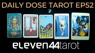 DAILY DOSE TAROT READING EP52 Timeless Channelled Transmission ( Scavenger Around)