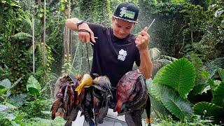 Harvesting Reef Fish For Hawaiian Funeral