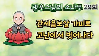 관세음보살 가피로 고난에서 벗어나다 | 광우스님의 소나무 29회