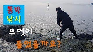 통발낚시_꺼내보니 뭔가 바글바글 많이 들었는데??_ fish trap