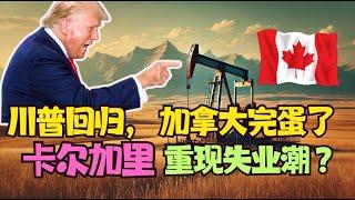 川普回归，阿尔伯塔石油经济完蛋？卡尔加里重现失业潮？你造吗，川普有多爱阿尔伯塔！?