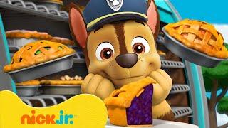 PAW Patrol Loves Yummy Pies!  10 Minutes | Nick Jr.