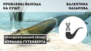 Проблемы выхода на сушу – Валентина Назарова