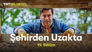 Şehirden Uzakta | Tokat-Niksar | TRT Belgesel