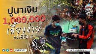 การเลี้ยงปูนา - เกษตรสัญจร