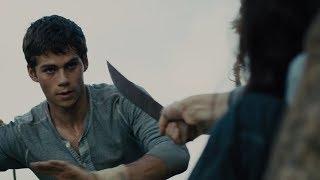 Thomas calms Teresa down [The Maze Runner]