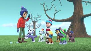 PAW Patrol Zuma & Skye: Paw Patrol MIGHTY PUPS Save Adventure Bay! - Paw Patrol Full Episodes!