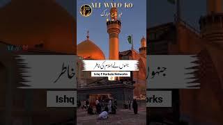 Eid_E_Ghadeer_Status_2025 #ytshorts #youtubeshorts #shortvideo #shorts  #eideghadeerstatus