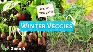 10 Vegetables You Can Grow In December (Zone 9)