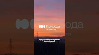 Природа – новый бренд застройщика ЖК «Солнечный город» и ЖК «Таёжный» 