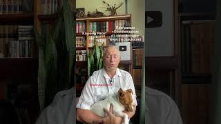 Хроническая усталость