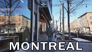 Montreal's Vibrant Neighborhood Le Plateau Mont-Royal - November 2024