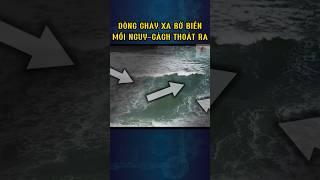 Dòng chảy xa bờ biển mối nguy hiểm và cách thoát ra #bien #boi #shorts