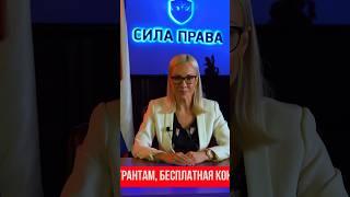 ‼️ВАЖНО‼️Помощь самозанятость от государства в 2023 году