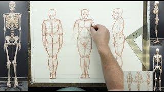THE FIGURE: Know Your Landmarks & Proportions-A Guide