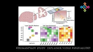 [2024-05-23] #HumanPilot study explainer video