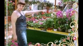 От друга за любовь к жизни и фото