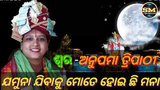 ଯମୁନା ଯିବାକୁ ମୋତେ ହୋଇ ଛି ମନା jamuna Jibaku mote //Parayana Bhajan Odia Bhajan //S-Anupama Tripathi