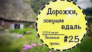 #25️Частный сад в Нидерландах ️Зоны отдыха️ Зонирование участка️
